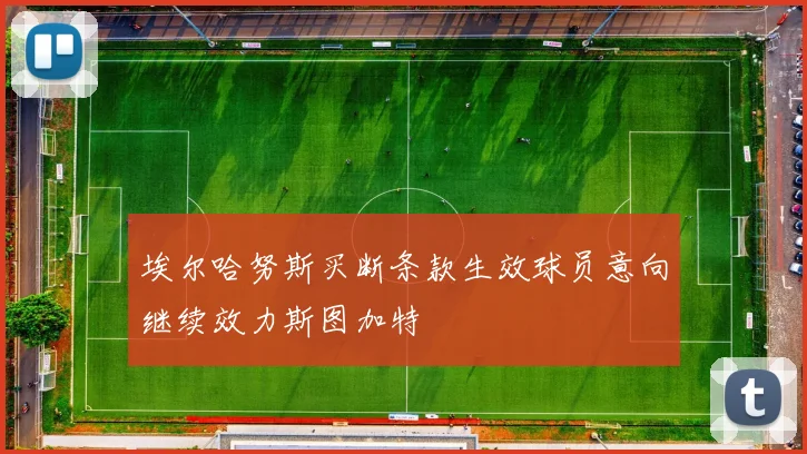 埃尔哈努斯买断条款生效球员意向继续效力斯图加特