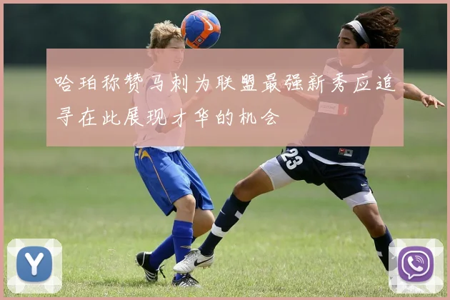 哈珀称赞马刺为联盟最强新秀应追寻在此展现才华的机会