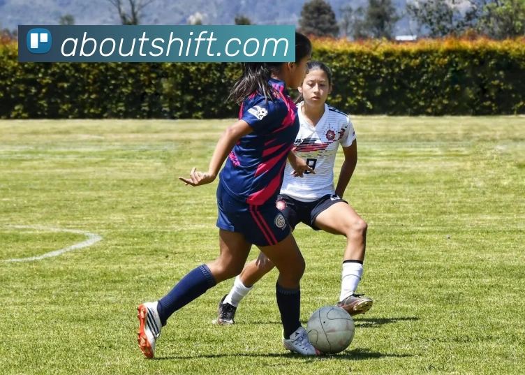 用户互动社区